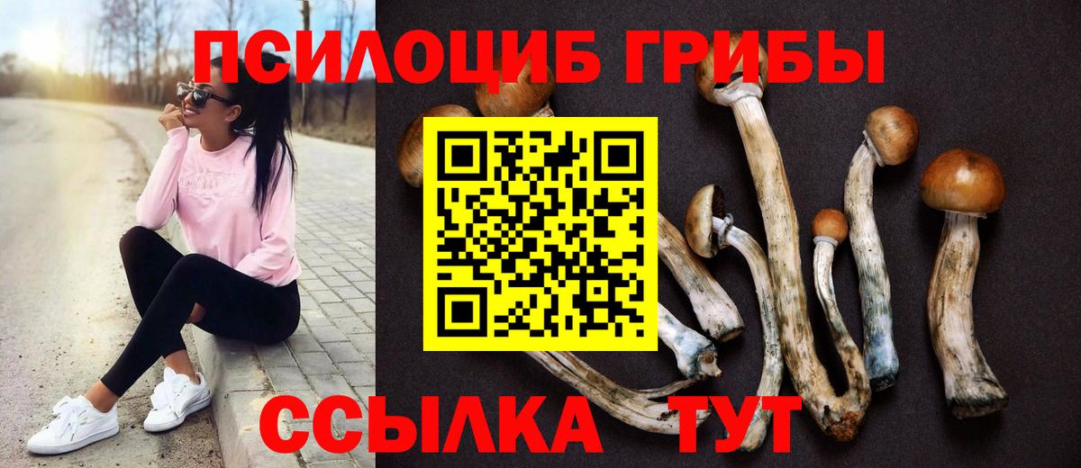 Псилоцибиновые грибы Psilocybe  Вход с VPN  Соликамск 
